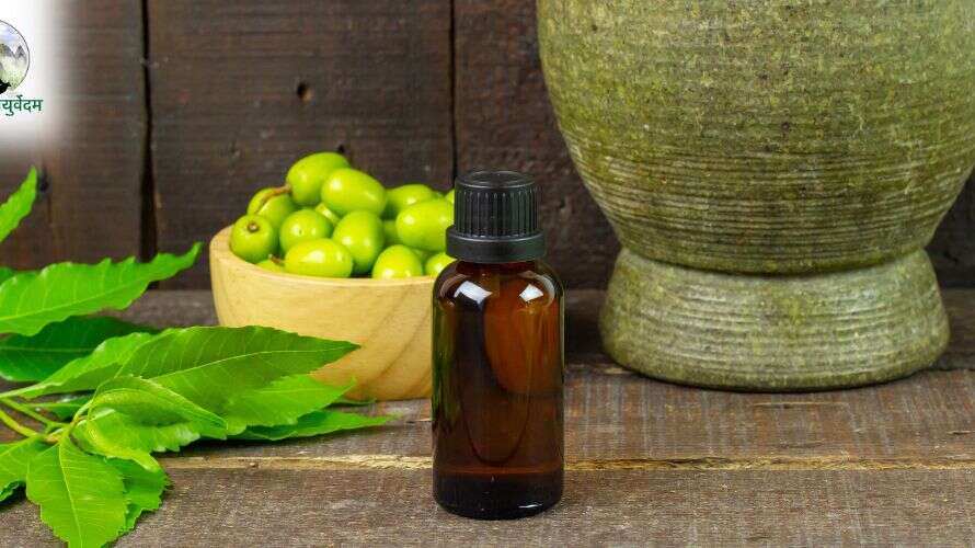 what is ark in ayurveda?